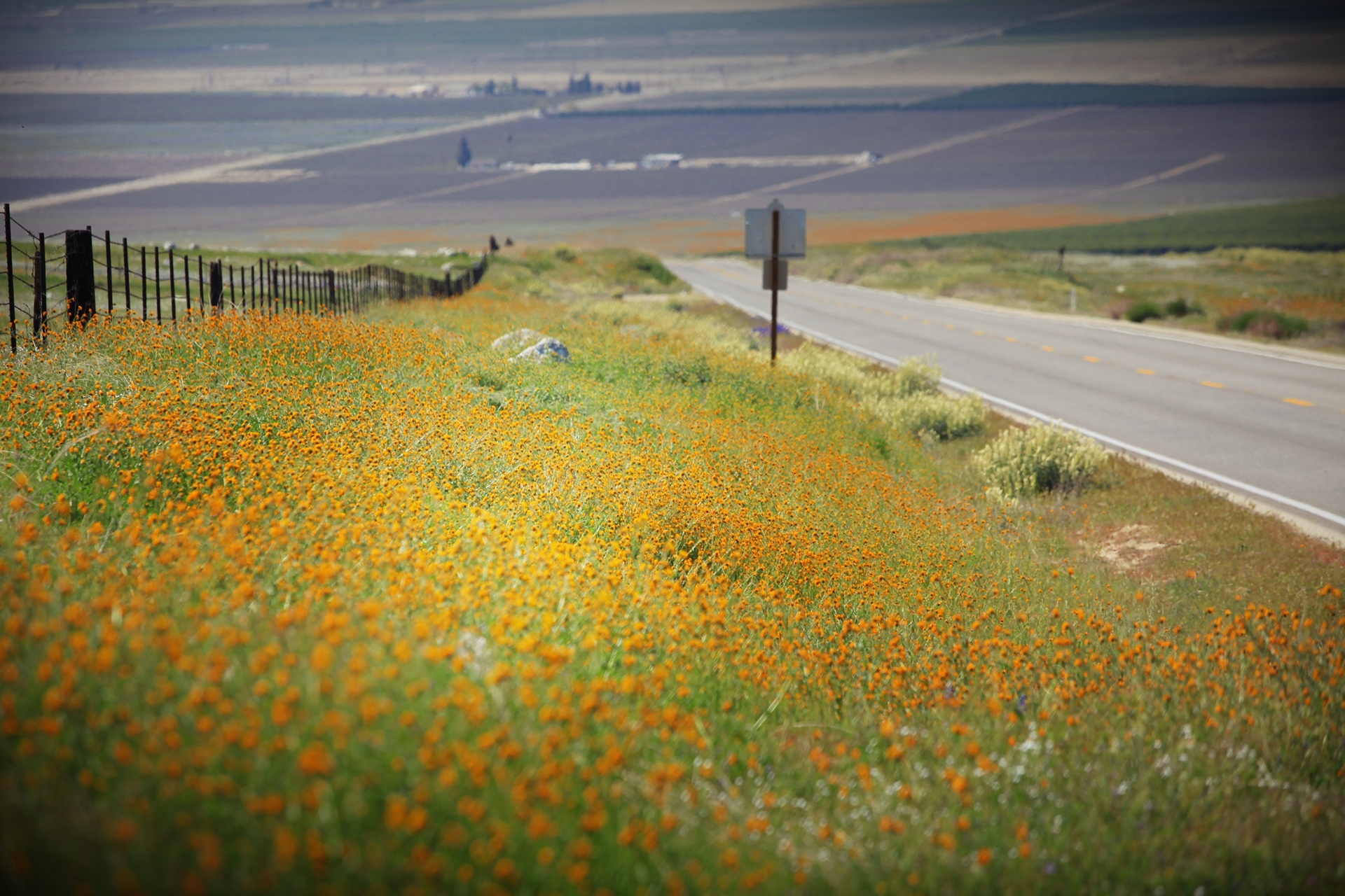 Arvin, Kern County, California