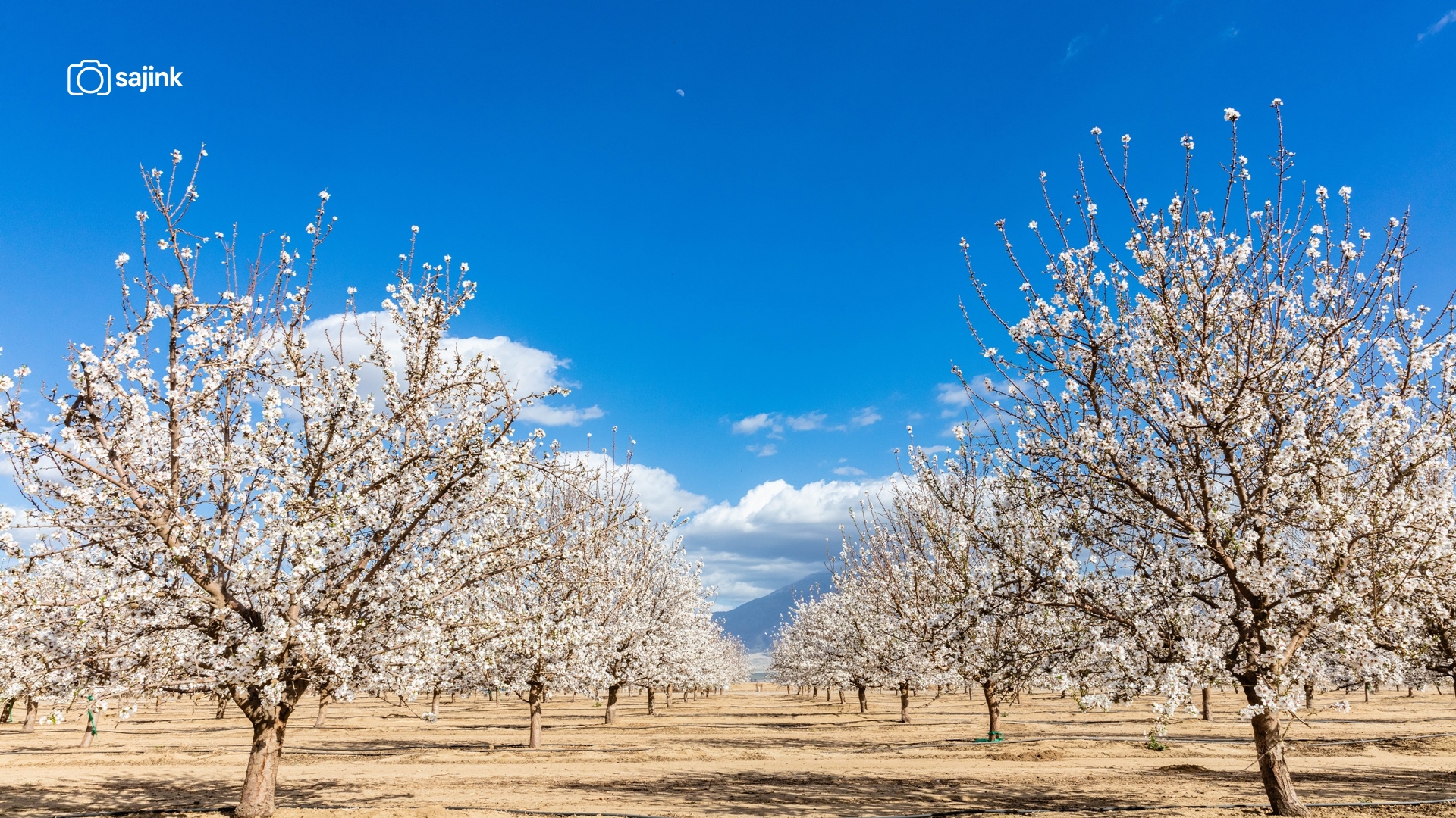 Arvin, Kern County, California