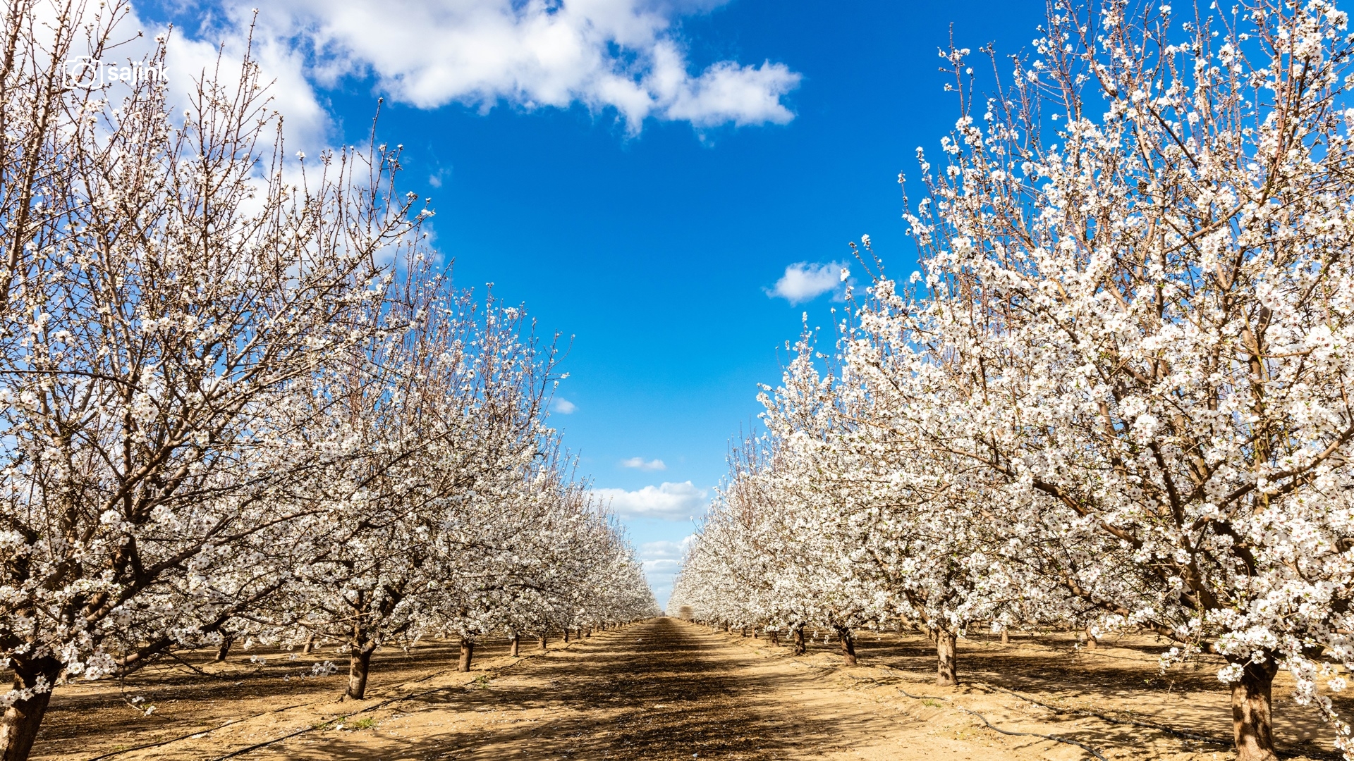 Arvin, Kern County, California