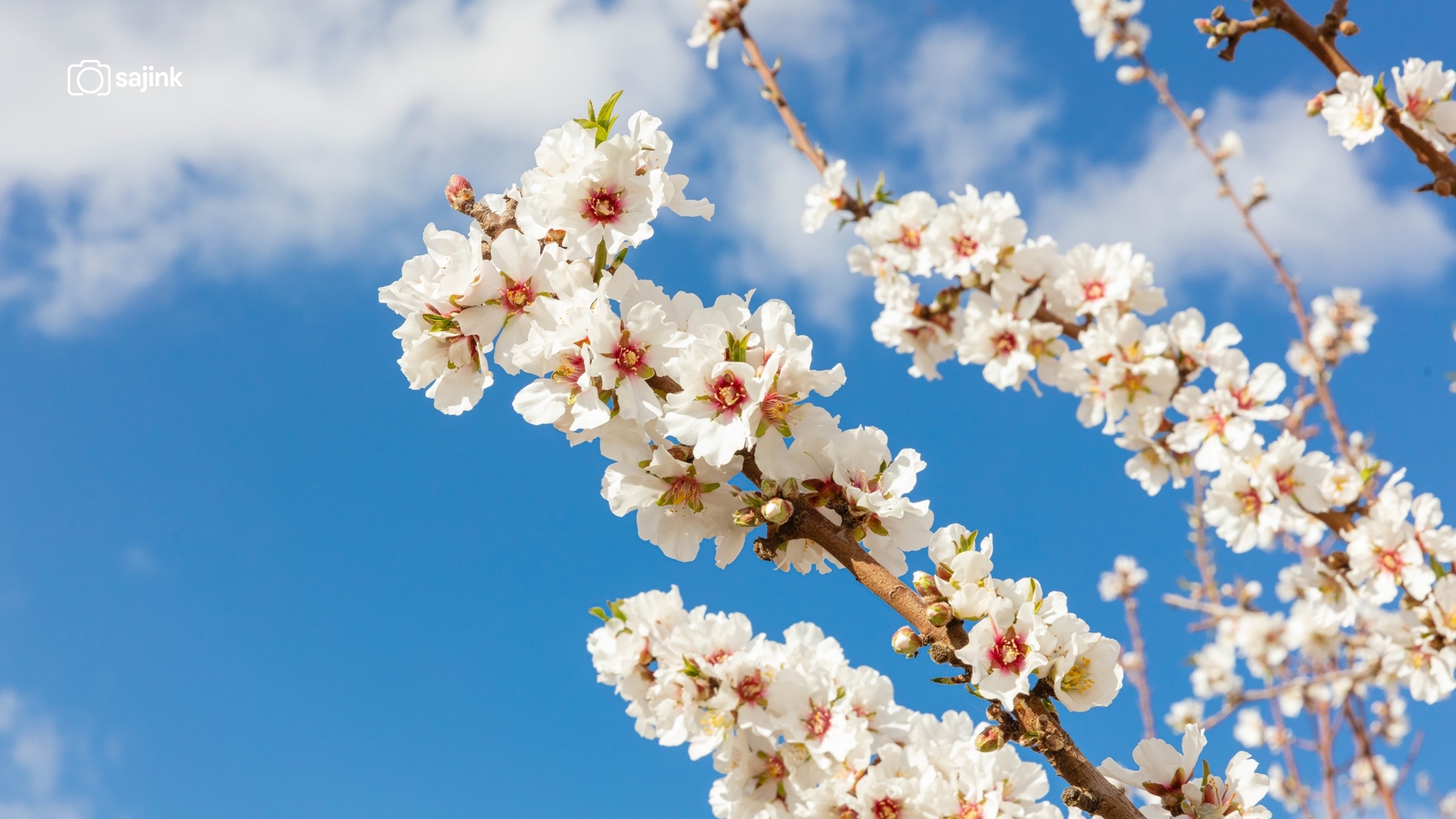 Arvin, Kern County, California