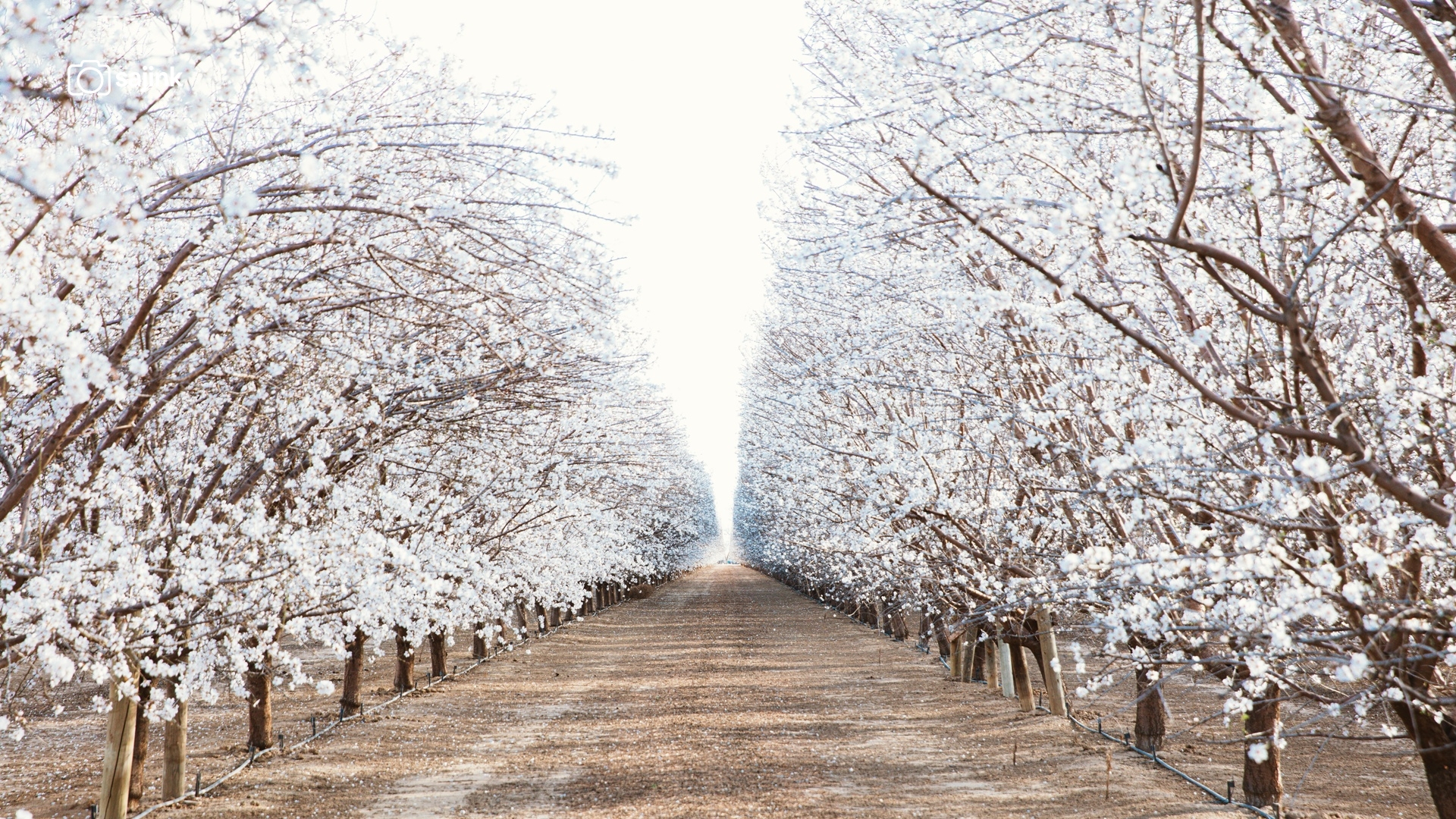 Arvin, Kern County, California