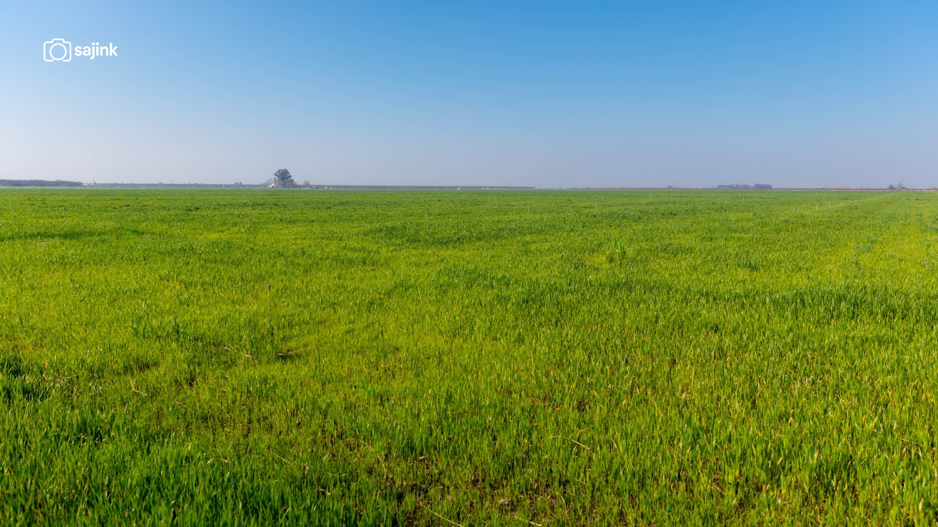 Arvin, Kern County, California