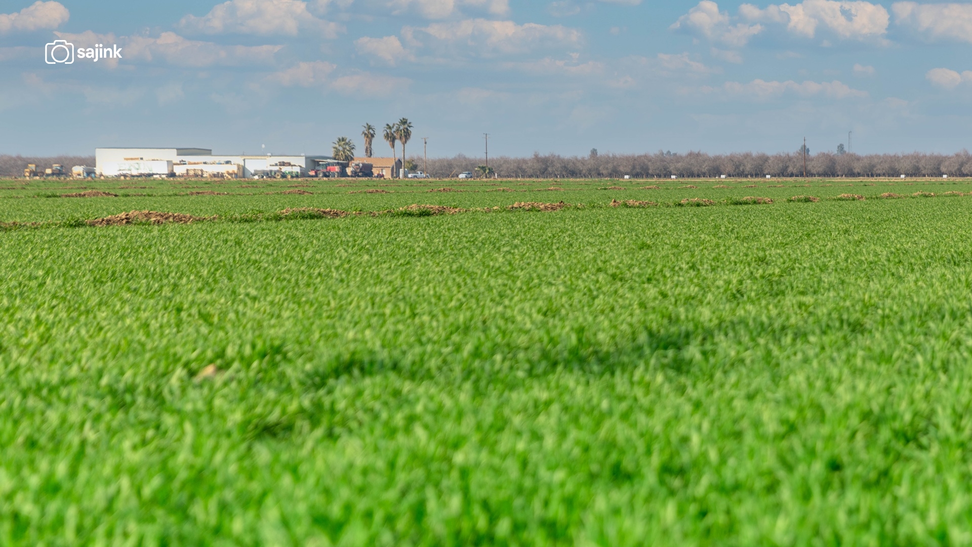 Arvin, Kern County, California