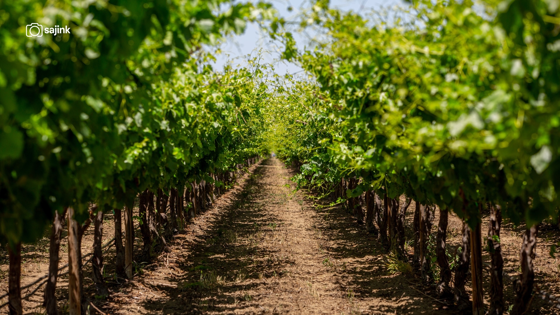 Arvin, Kern County, California