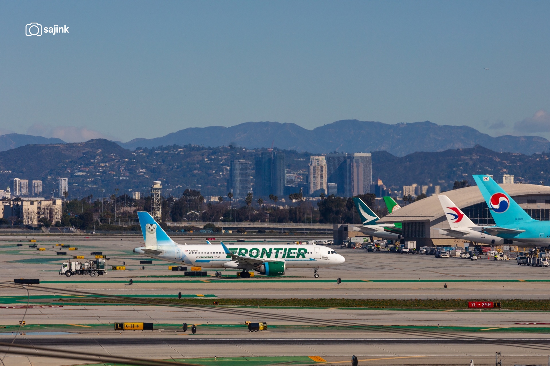 Frontier’s Animal Tails - "Cortez the Green-Crowned Brilliant Ferret"
