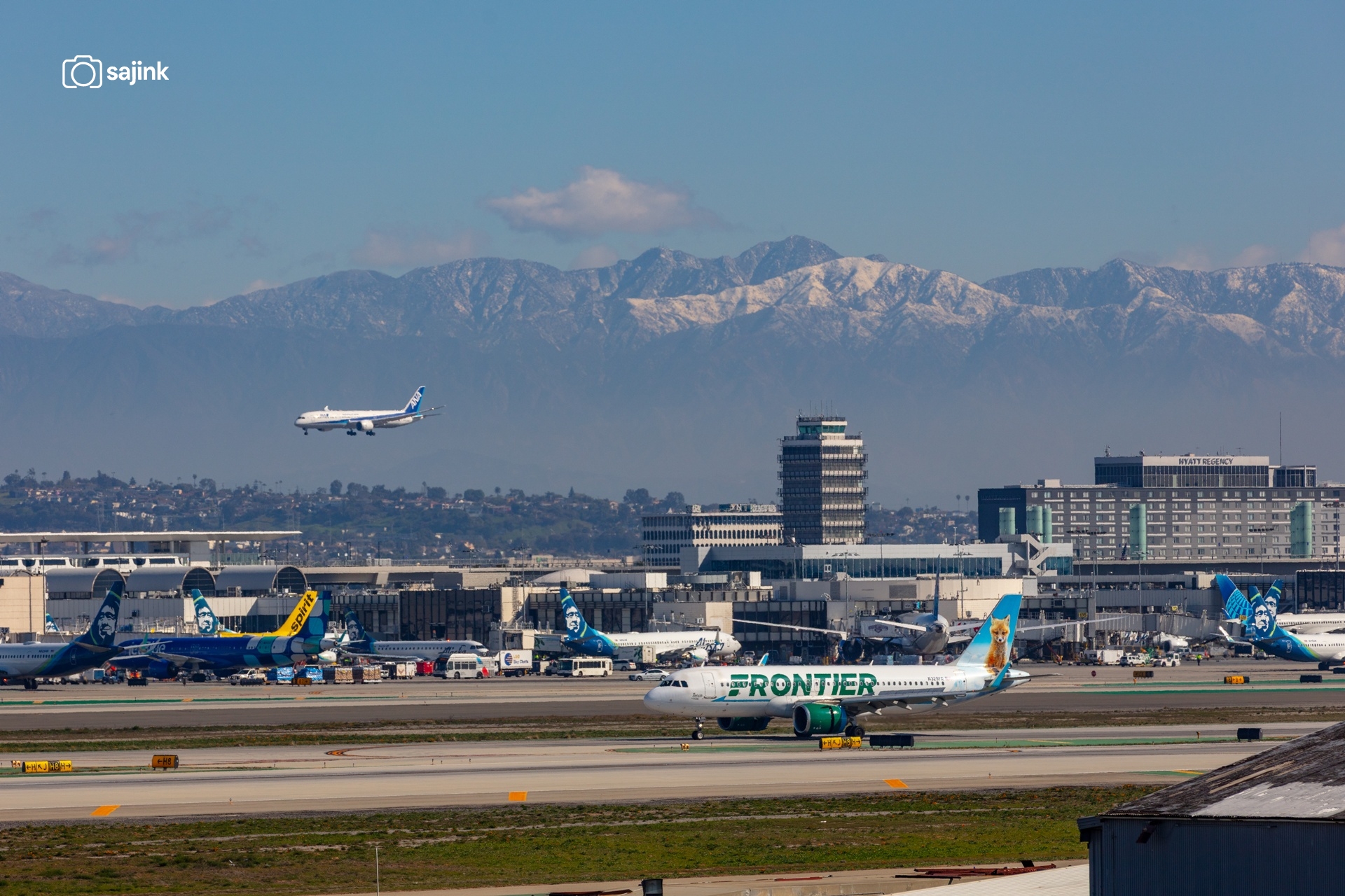 Frontier’s Animal Tails - "Trixie the Fox"